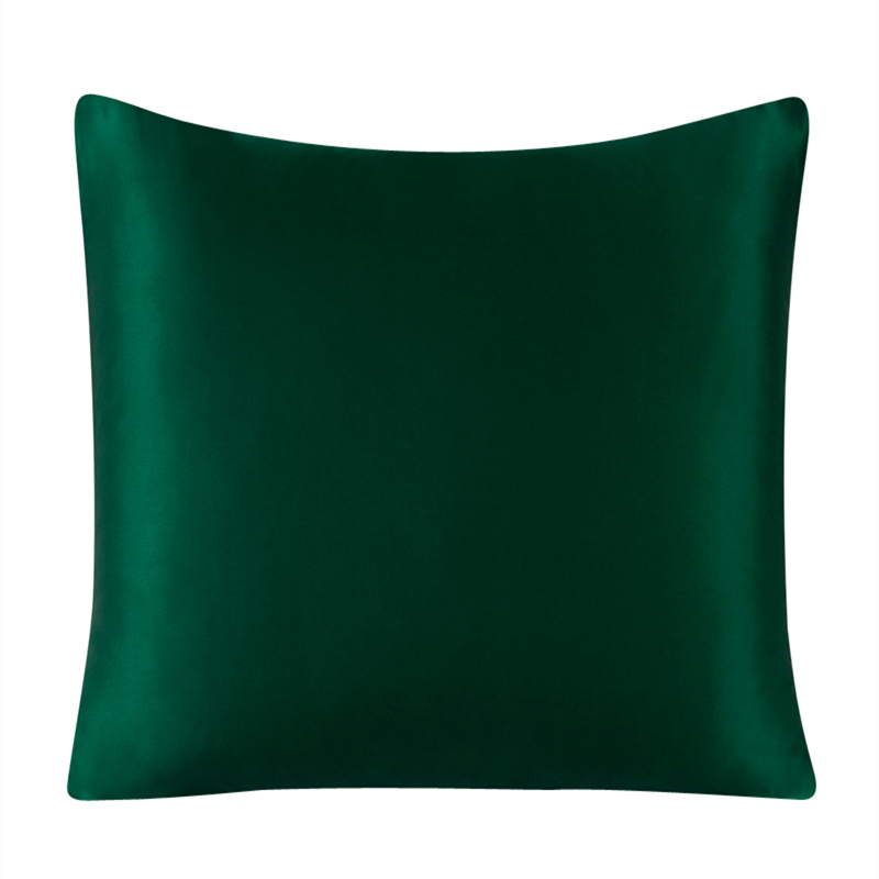 30Momme 100% Silk Cushion Cove - Silk Pillowcase 评论和价格